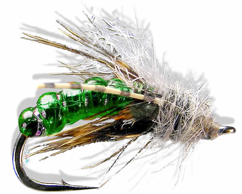 Taylors Gut Instinct - Green
#14-18