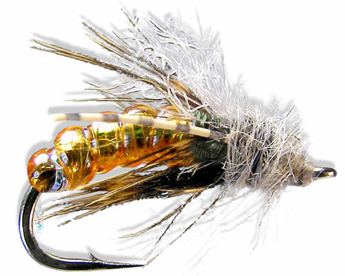Taylors Gut Instinct - Tan
#14-18