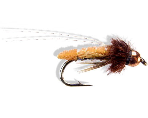 Ultra-Pupa - Amber
#14-18