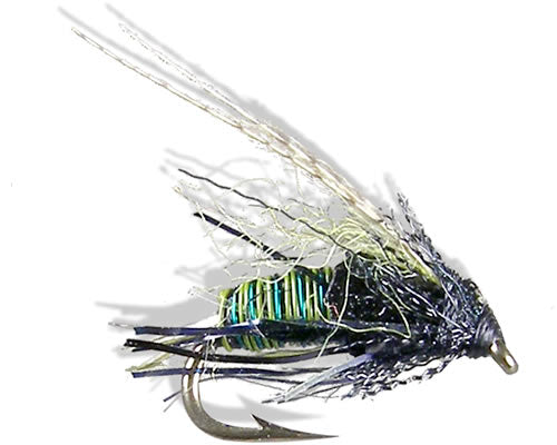 Thurman's Zaddis - Olive
#14-16