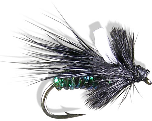 Wilson's Midnight Caddis- Black
#18