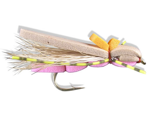 Reiner's Pink Pookie
#8-10