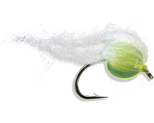 Otters Soft Milk Egg Kiwi
#6 and 12