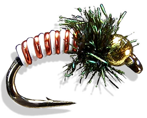 Tung Zebra - Red
#16-20