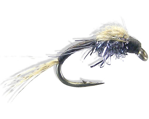 WD Flashy - Black
#18-22