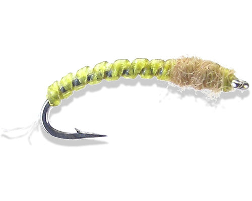 Otters Chironomid Larva - Olive
#20