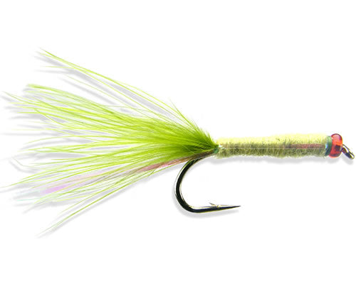 Swisher's Kiwi Killer Damsel
#10-14