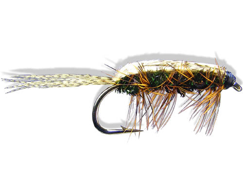 Rickards' Callibaetis Nymph - Peacock
#10-14