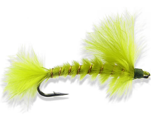 Damsel
#10-12