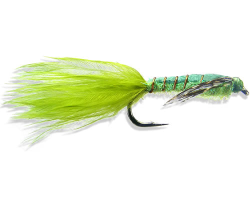Kyle's Shallow Damsel
#10-12