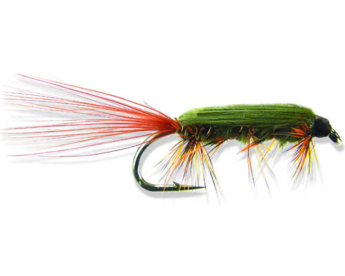 Rickards' Stillwater Nymph 2
#10-12