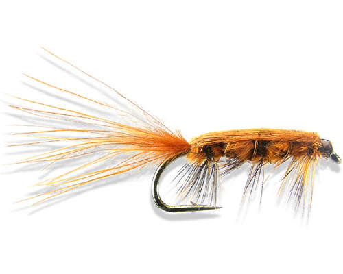Rickards' Stillwater Nymph 3
#10-12