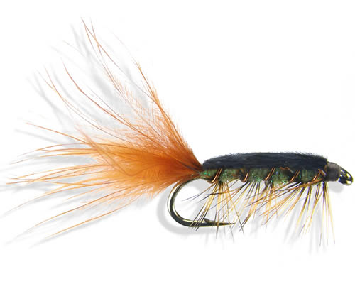 Rickards' Stillwater Flash Nymph 5
#10-12