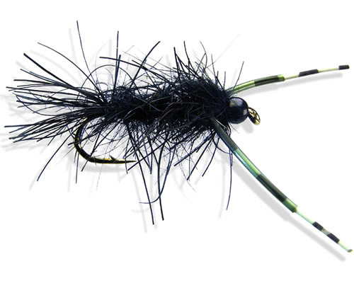 Swisher's Georgie Long Legs
#10 only