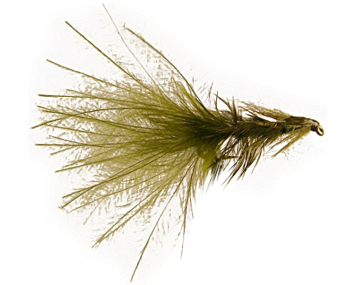 Thurman's Damseleech -Olive
#12
