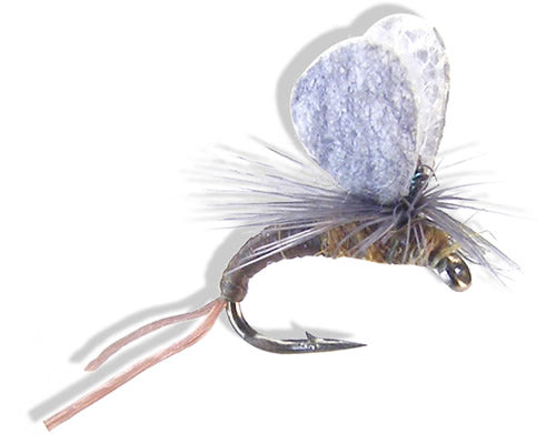 Trina's EthaWing Emergr BWO
#18-20