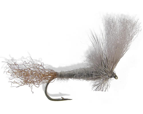 Nymen's DOA Cripple - Callibaetis
#12-16