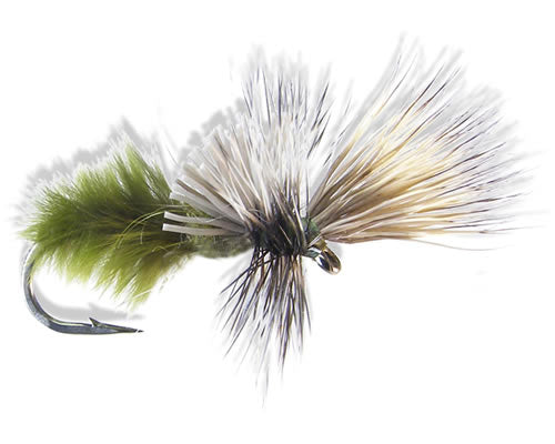 Andy's Cripple - Olive
#10-18