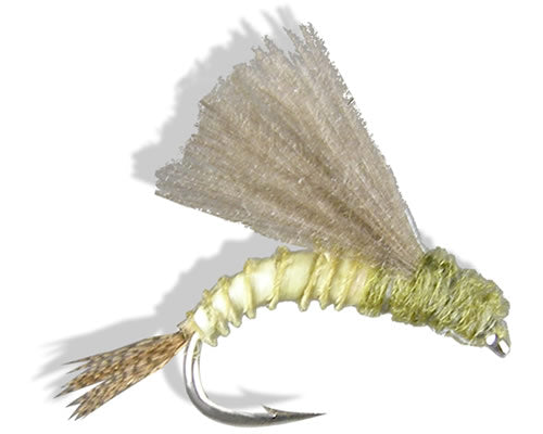 CDC Emerger - BWO
#16-20