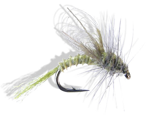 CDC Winged Emerger - BWO #16 & #20