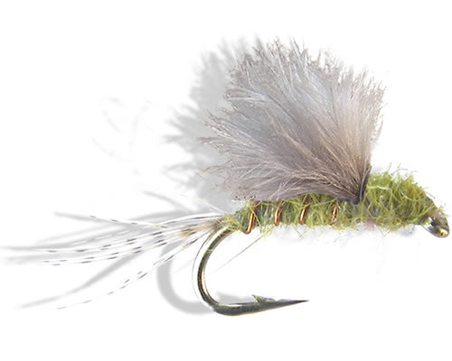 RS2 - Olive
#14-22