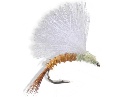 CDC Emerger - PMD
#14-18