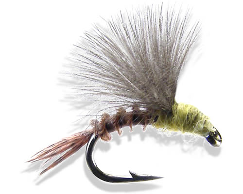 CDC Emerger-Sulpher/Sulphur
#14-18