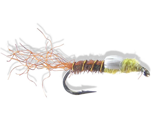 Halfback Emerger - PMD
#14-20