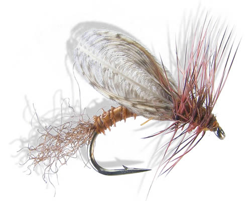 CDC Winged Emerger - Brown Drake
#8