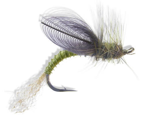 CDC Winged Emerger - Green Drake
#8-12