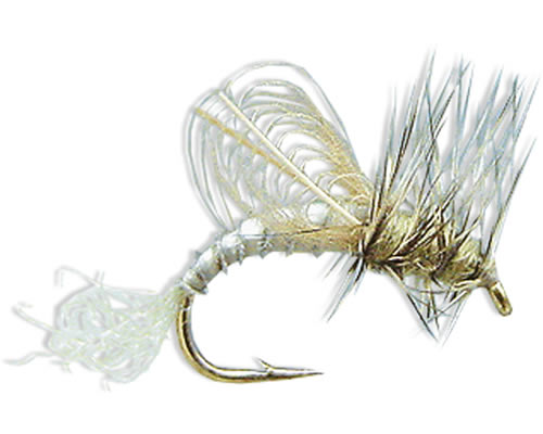 CDC Winged Emerger - Grey Drake
#10-14