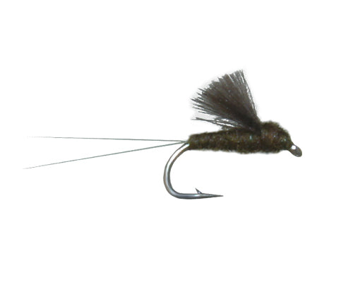 CDC RS2 - Olive