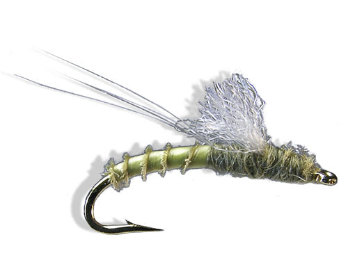 Christiaens GT Emerger - BWO
#16-20