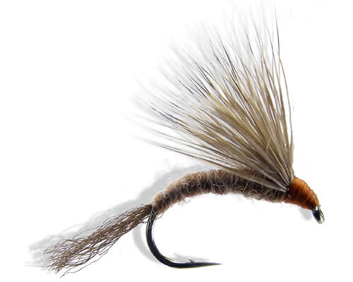 Deerhead Emerger - Isonychia
#10-12