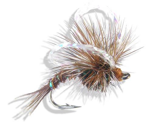Trina's Dry Bubbleback - Orginal - #20