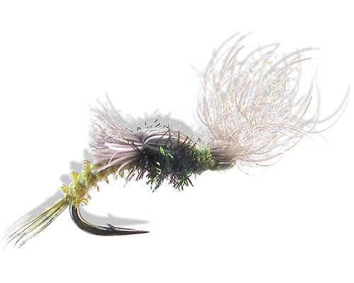 Ross' Splitwing Snowshoe Emerger - BWO
#16-20