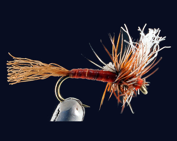 Wiese's Hazy Cripple - Copper