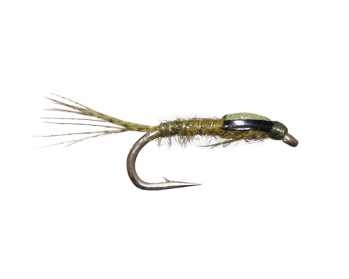 Split case - BWO