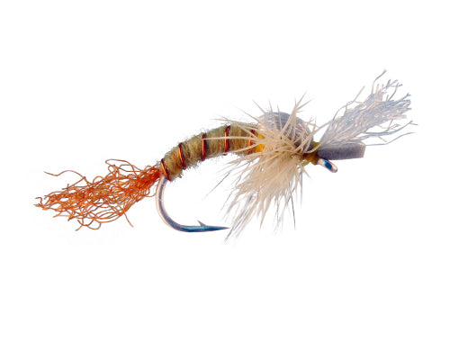 Matt Powell's Helen Keller - PMD