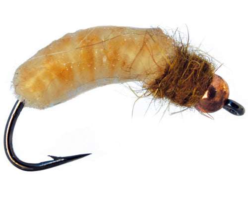 Silverman's Crane Fly Larva - Cream