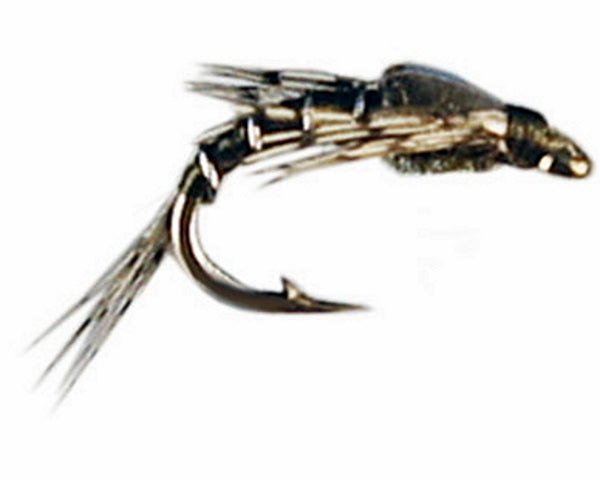 Thompson's Forky Baetis
