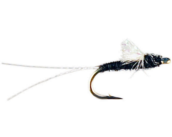 Juan's Sparkle Wing RS2 - Black