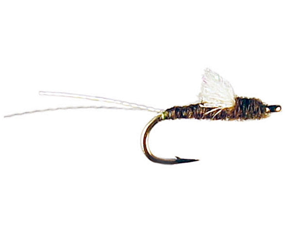 Juan's Sparkle Wing RS2 - Olive