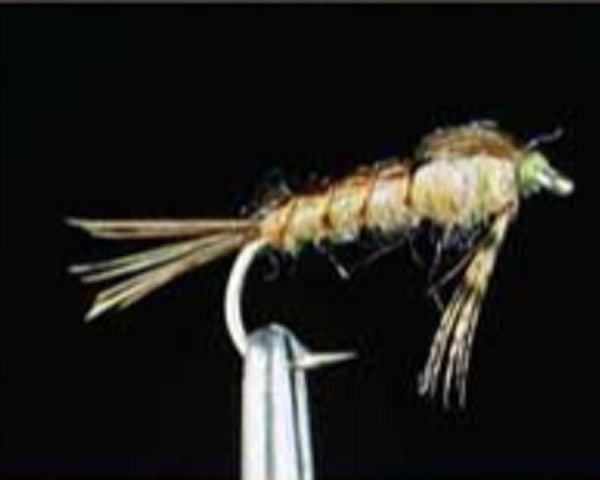 Chan's Clear Water Callibaetis - Callibaetis/Tan