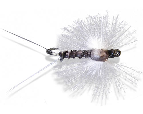 CDC Spinner - Trico
#18-22