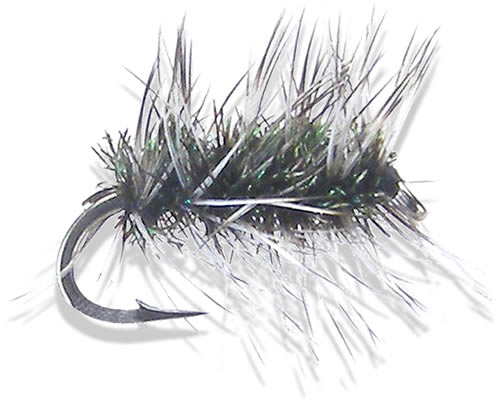 Griffith's Gnat
#12-20