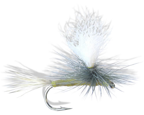 Carlson's Yellow Haze
#14-18