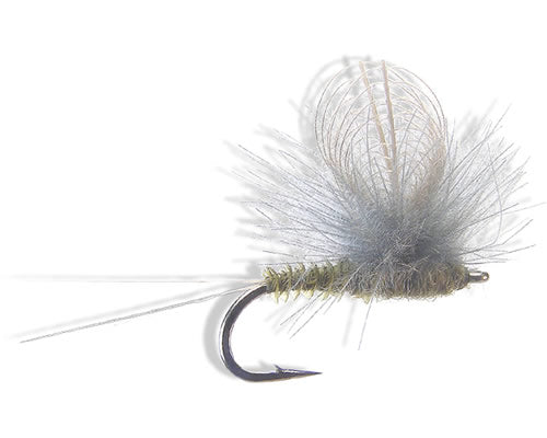 CDC Parachute - BWO
#16-22