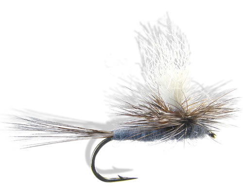 Parachute Adams (Poly-Yarn Wing)
#10-22