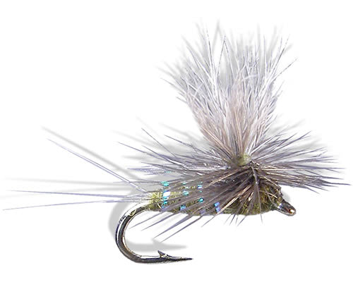 Para-Wulff - BWO
#16-18